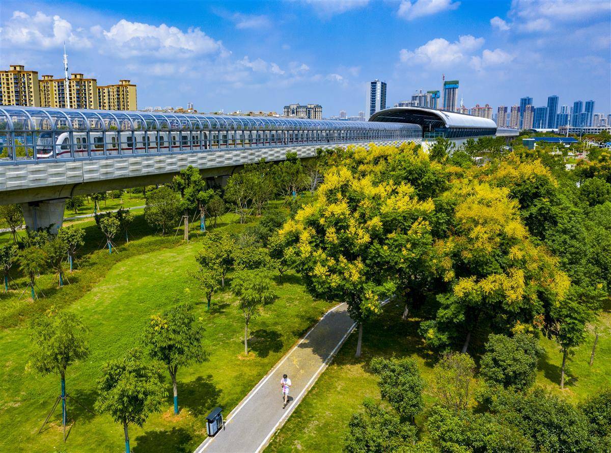 广东麻将推倒胡游戏